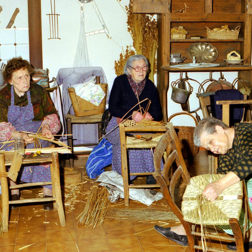 11_ECOMUSEO_DELLE_ERBE_PALUSTRI_03